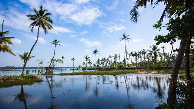 Veli Emerges as a New Gateway for Thiruvananthapuram’s Tourism and Waterway Economy